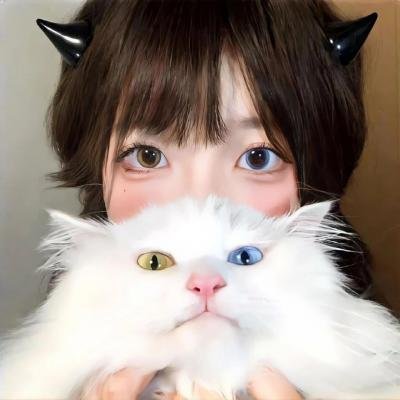 太空熊猫历险记